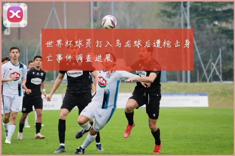 世界杯球员打入乌龙球后遭枪击身亡事件调查进展
