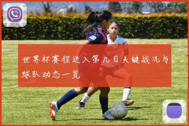 世界杯赛程进入第几日关键战况与球队动态一览