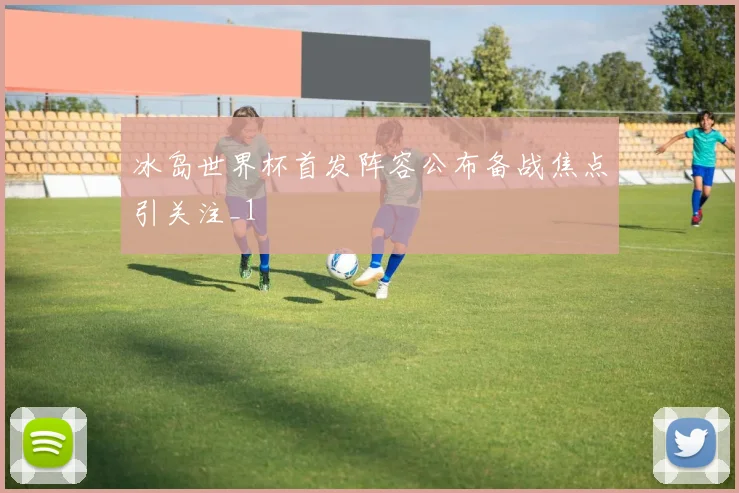 冰岛世界杯首发阵容公布备战焦点引关注_1
