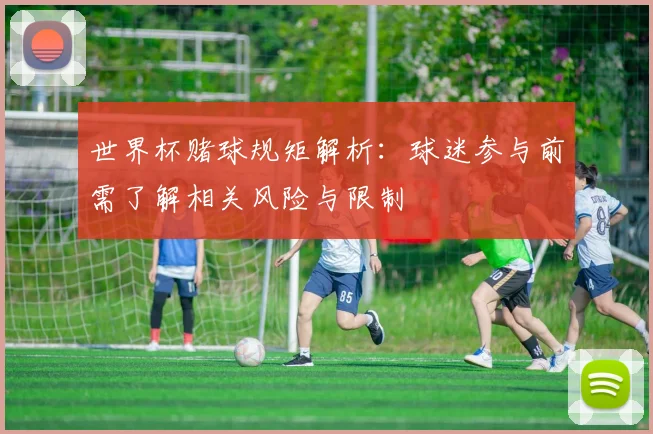 世界杯赌球规矩解析:球迷参与前需了解相关风险与限制
