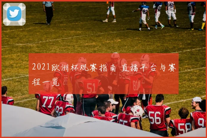 2021欧洲杯观赛指南 直播平台与赛程一览