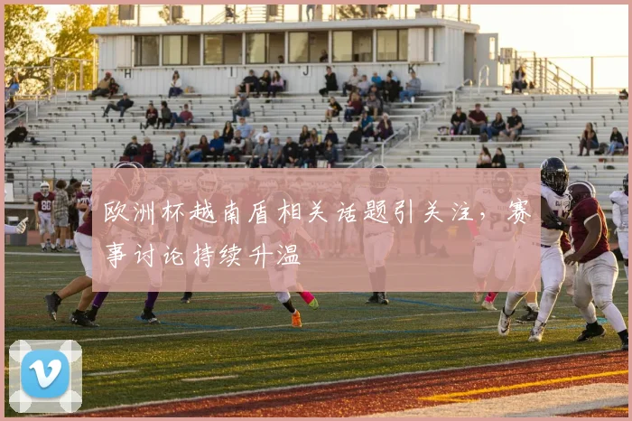 欧洲杯越南盾相关话题引关注,赛事讨论持续升温