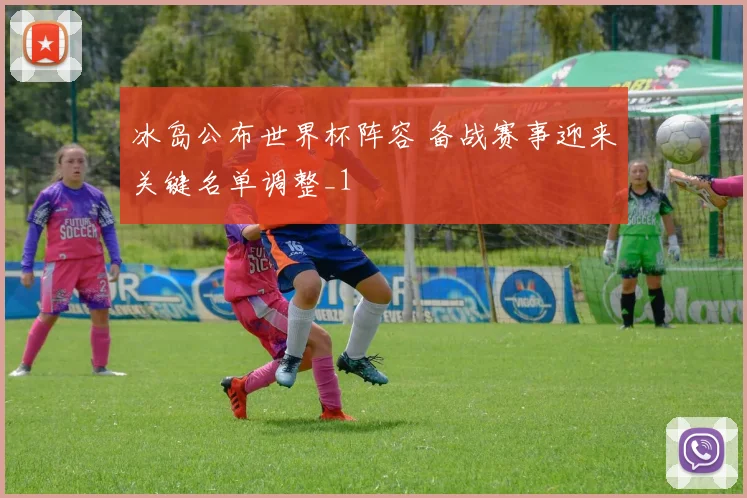 冰岛公布世界杯阵容 备战赛事迎来关键名单调整_1